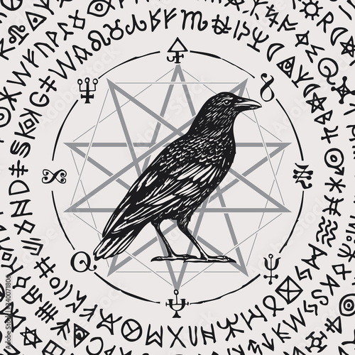 Vector illustration with a sorcery Crow or wise black Raven in vintage style. Hand-drawn banner with an octagonal star, magic runes, occult signs and symbols written in a circle