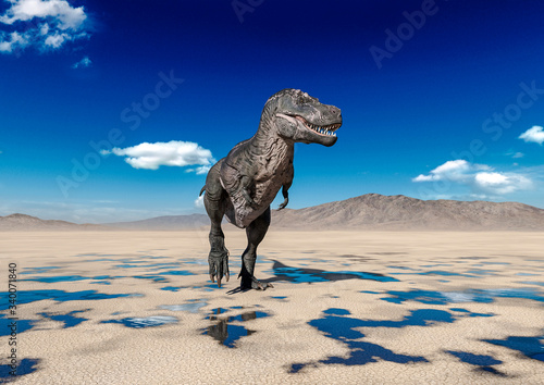 tyrannosaurus rex walking alone on desert © DM7
