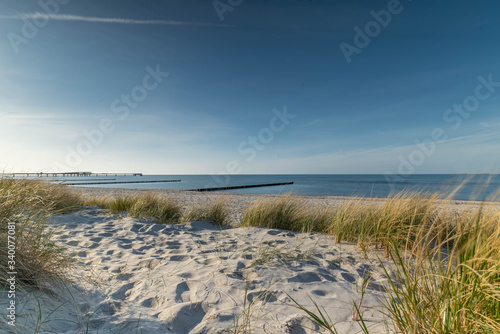 Fototapeta Naklejka Na Ścianę i Meble -  Dunes on the beach of the Baltic Sea near Heiligenhafen, Schleswig-Holstein, Germany, Dune landscape on the beach of the Baltic Sea 