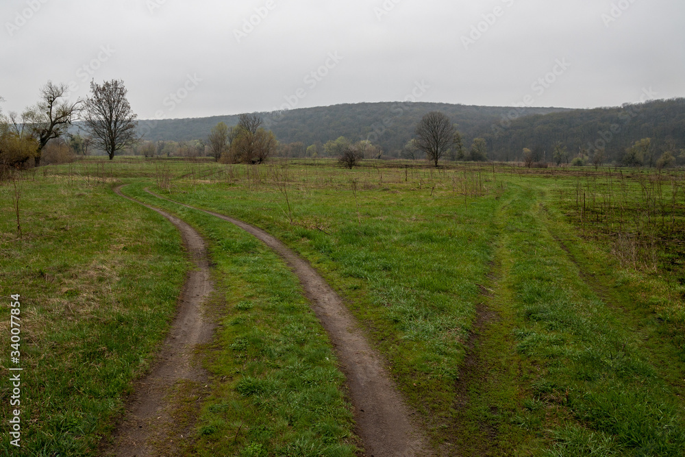 Two dirt roads green grass spring landscape