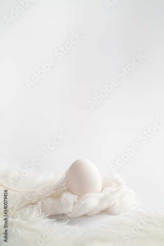white egg with feather minimalism
