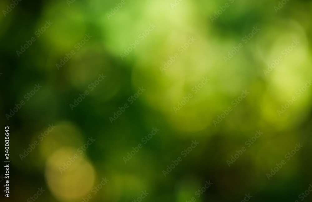 Background of nature - natural bokeh from forest for graphics Background of nature - natural bokeh from forest for graphics