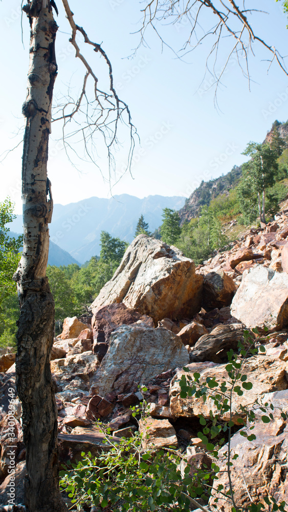 Up in the mountains above the Salt Lake Valley, there are beautiful little pockets of nature to escape into, like Lake Blanche (if you can make the 4-mile steep climb to find it!)