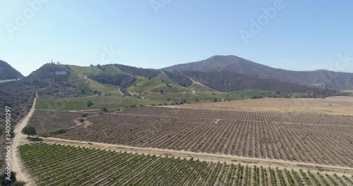Wallpaper Mural Aerial landscape over fields of vineyards grape with designation of origin. Grape plantation cutie wine lines perfect production winery wine blanc cabernet sauvignon merlot. Chile. 4K Torontodigital.ca