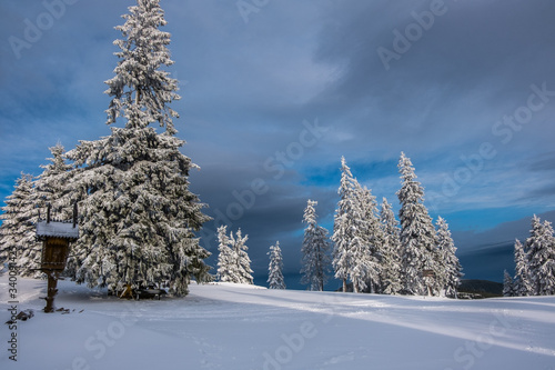 Winter hills landscape