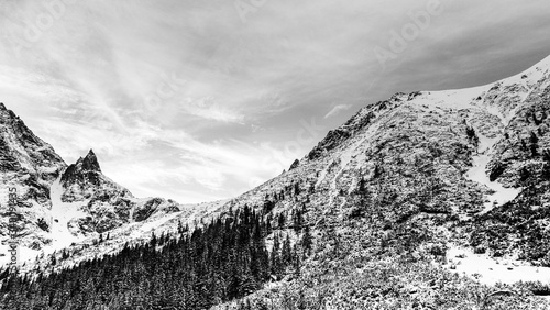 Winter hills landscape