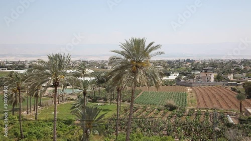 The view from Tel of Jericho, Palestinian Authority