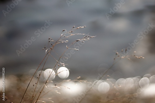 Peacefull