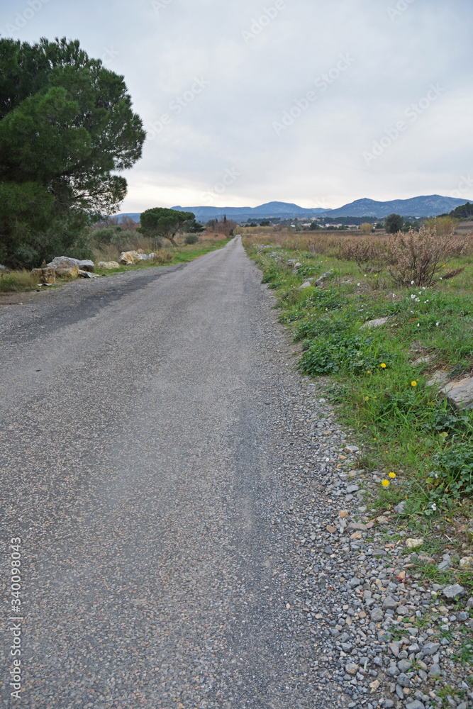 Chemin rural à La Palme, Aude, Occitanie.