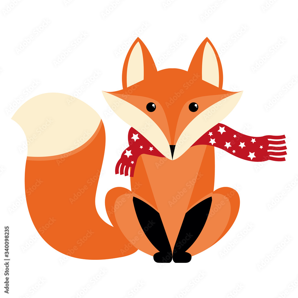 Obraz premium Red fox