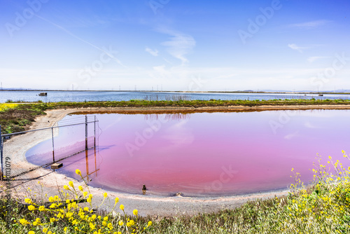 Evaporation pond used in the production of salt in Sunnyvale, South San Francisco Bay Area, California; Salt-tolerant micro-algae survive in the high salinity ponds, giving it the vibrant pink color