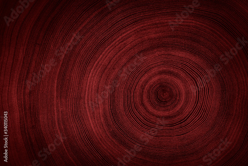 Dark red textured wood from a tree trunk with growth rings