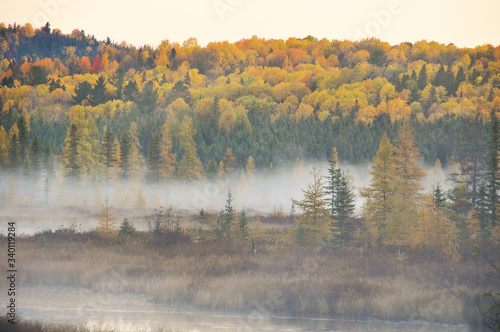 sunrise and mist over the river in forest of autumn colour Algonquin Park Ontario Canada