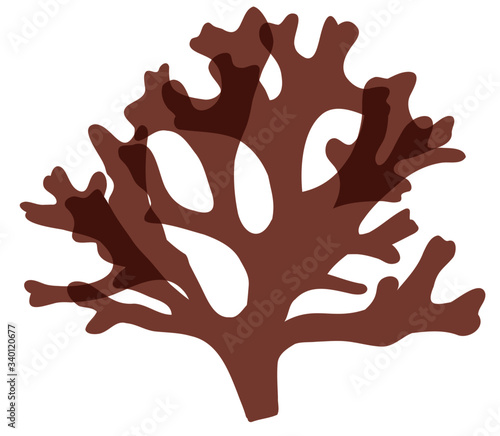 underwater Algae seaweed elements vector.