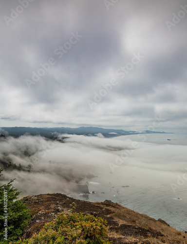 Vertical Image - View from Cape Foulweather overlook of Oregon coast as fog comes ashore