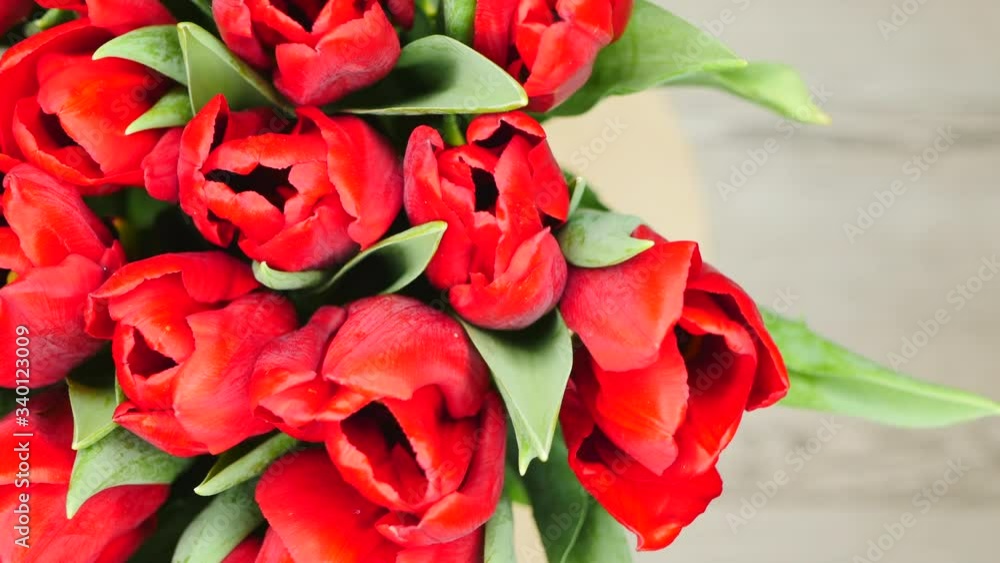 Top View Rotating Of Beautiful Bouquet Red Tulips In Vase Standing On A Gray Wooden Background On The Left Side Close-up. Top View Rotating Of Beautiful Bouquet Red Tulips In Vase Standing On A Gray Wooden Background On The Left Side Close-up.