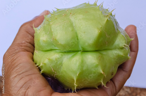 Holding Chayote (cho cho) photo