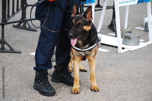 警察犬