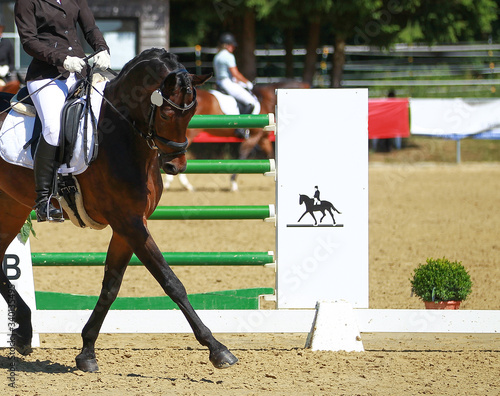 Dressage horse with rider in a close-up in the crossbar.. photo