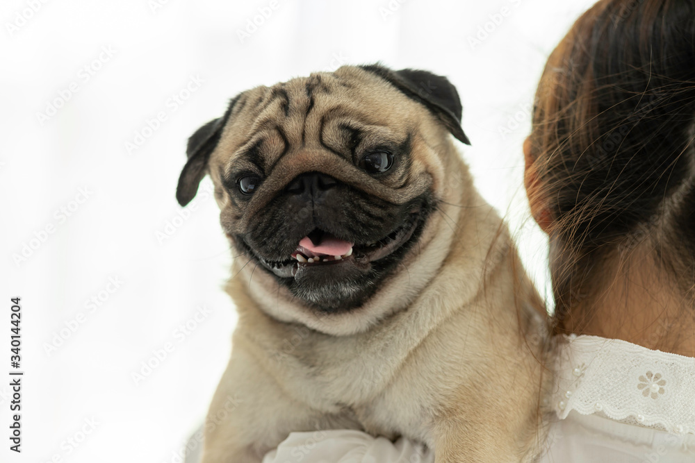 Woman holding cute dog pug on her shoulder smile with happiness and cheerful