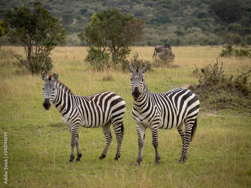 Masai Mara