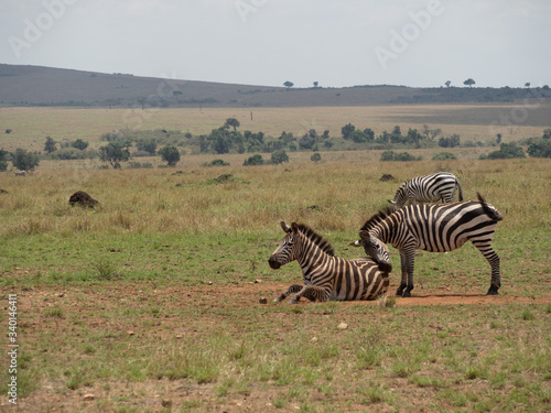 Masai Mara