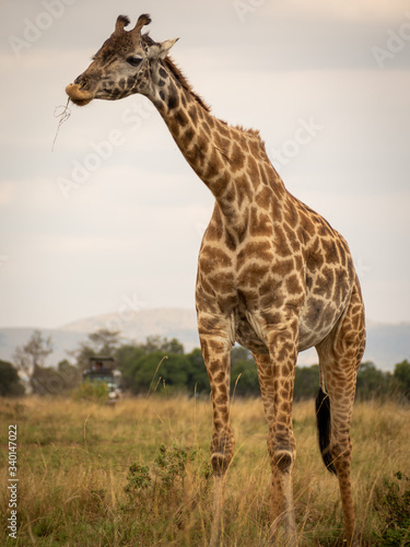 Masai Mara