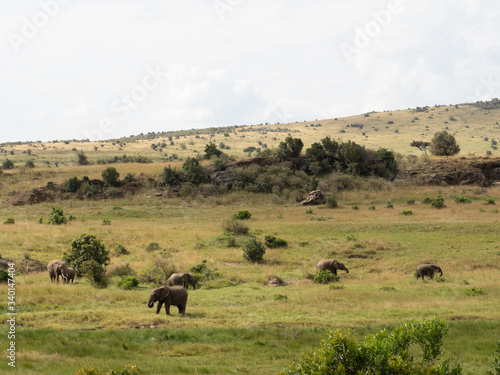 Masai Mara