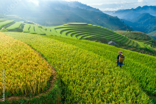 Beautiful step of rice terrace paddle field in sunset and dawn at Mam Xoi hill, Mu Cang Chai, Vietnam. Mu Cang Chai is beautiful in nature place in Vietnam, Southeast Asia. Travel concept. Aerial view photo