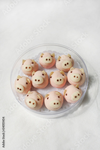 Tiny pig face cookie homemade on plastic box, on top view