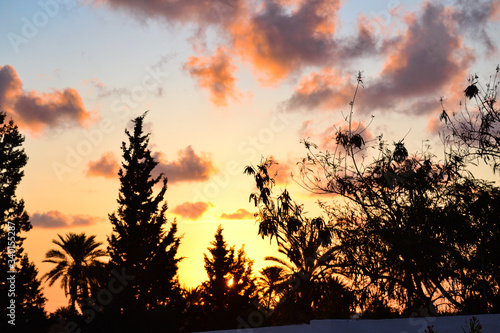 sunset in the field