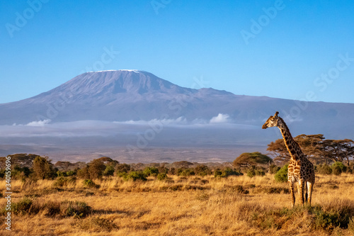 Amboseli3 photo