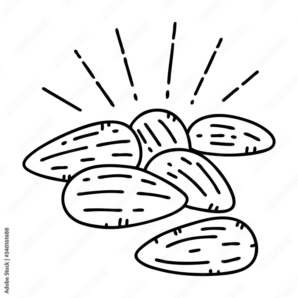 traditional black line work tattoo style almonds traditional black line work tattoo style almonds