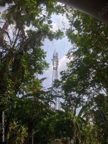 tower in forest