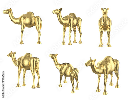 Set of polygonal camels