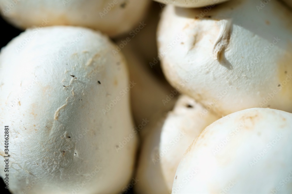 mushrooms on the table