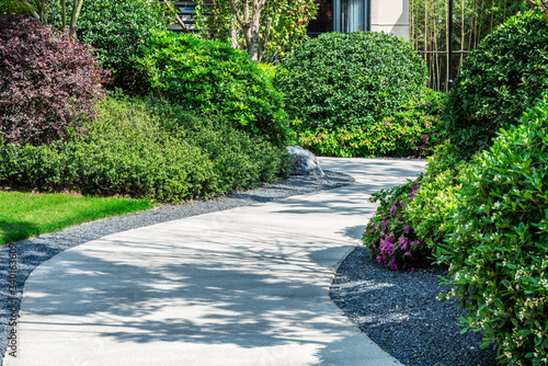 path in the garden