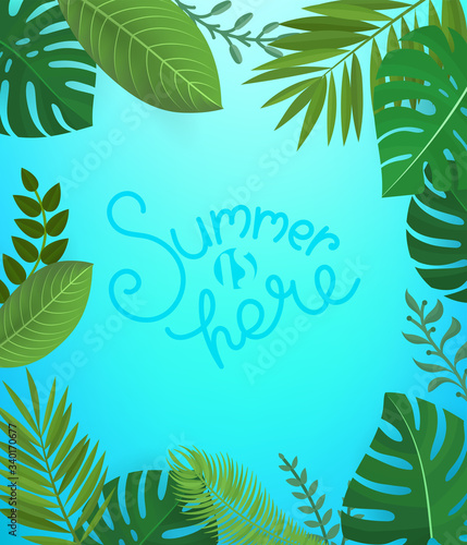 Floral background with lettering inscription. Summer is here