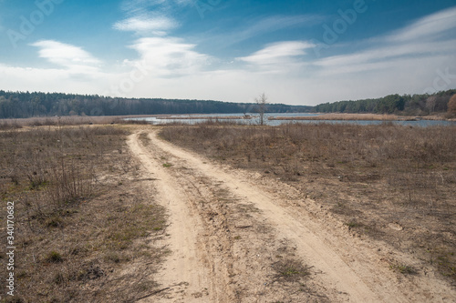 Perspective of a Forest View Road