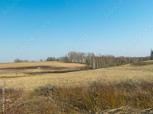 sunny spring landscape with countryside