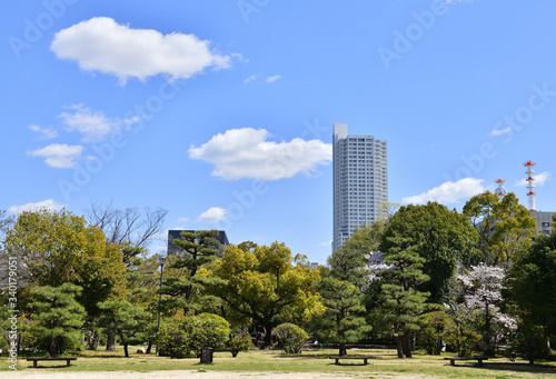 庭園とビルと青空 © s_fukumura