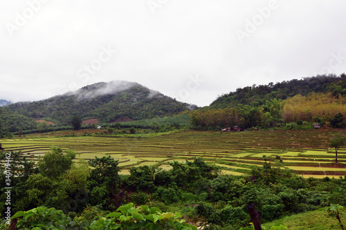 Natural scenery, rice fields, mountains and sky during the rainy season.
