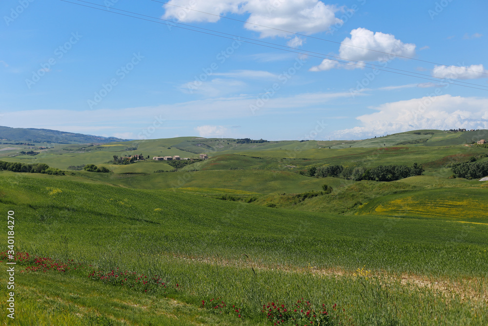 Obraz premium Spring in the fields of Tuscany. 