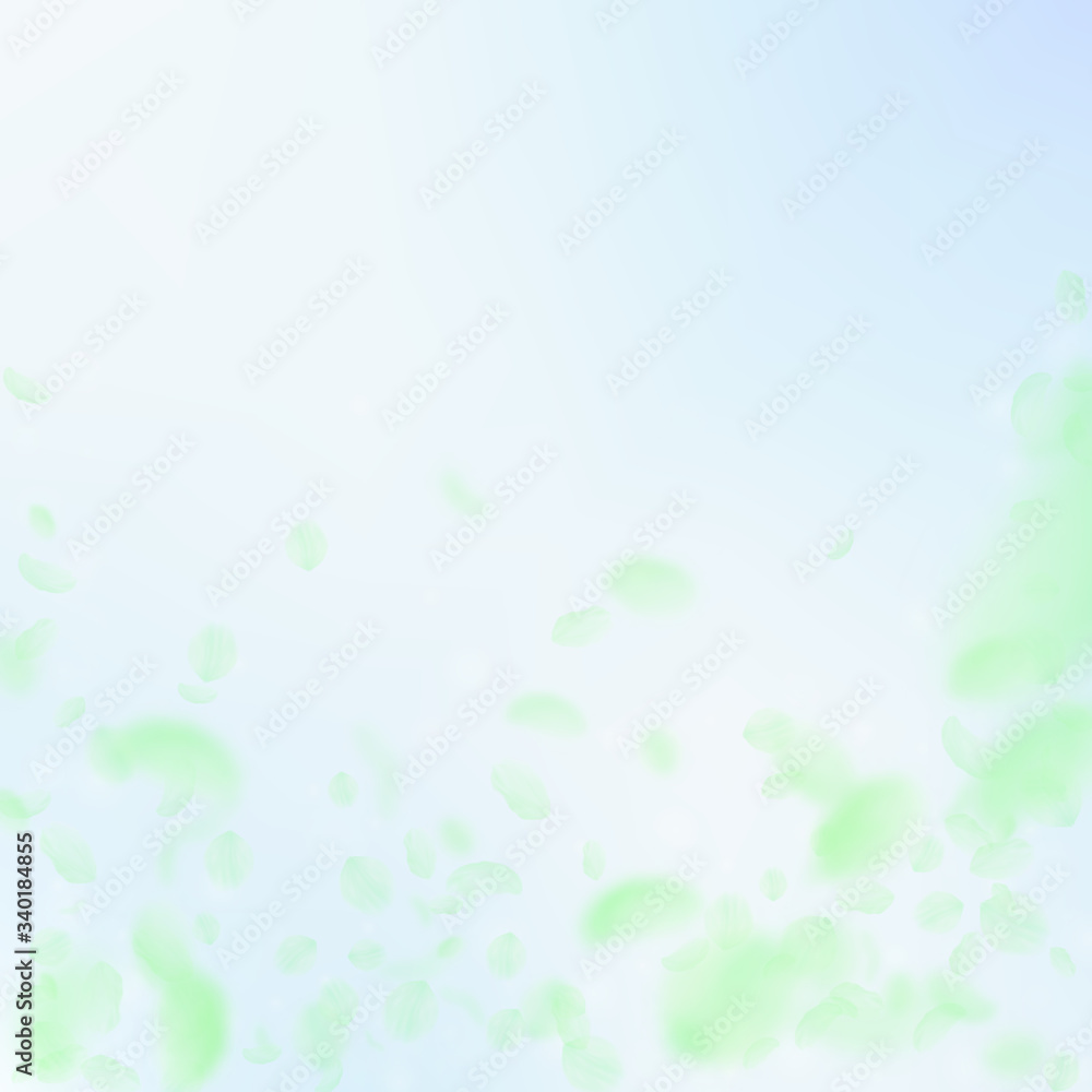 Fototapeta premium Green flower petals falling down. Delightful roman