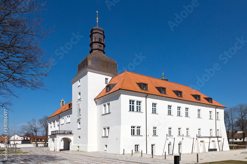 castle, Dolni Brezany near Prague, Czech republic photo