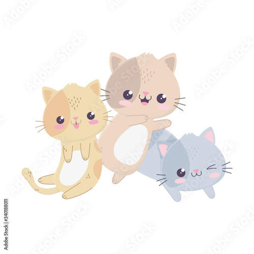 cute little cats hello kawaii cartoon character