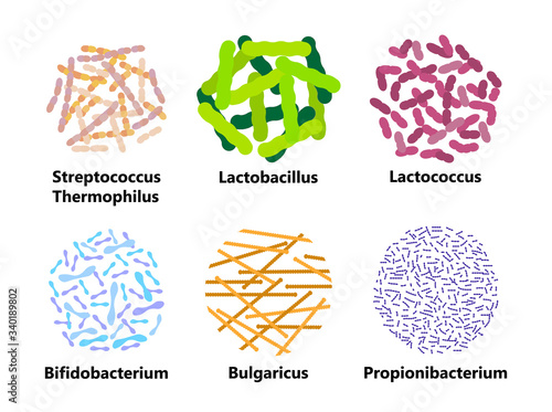 Probiotics bacteria set vector. Lactobacillus, bulgaricus logo with text. Amorphous symbols for milk products are shown such as yogurt, acidophilus. Lactococcus, propionibacterium photo