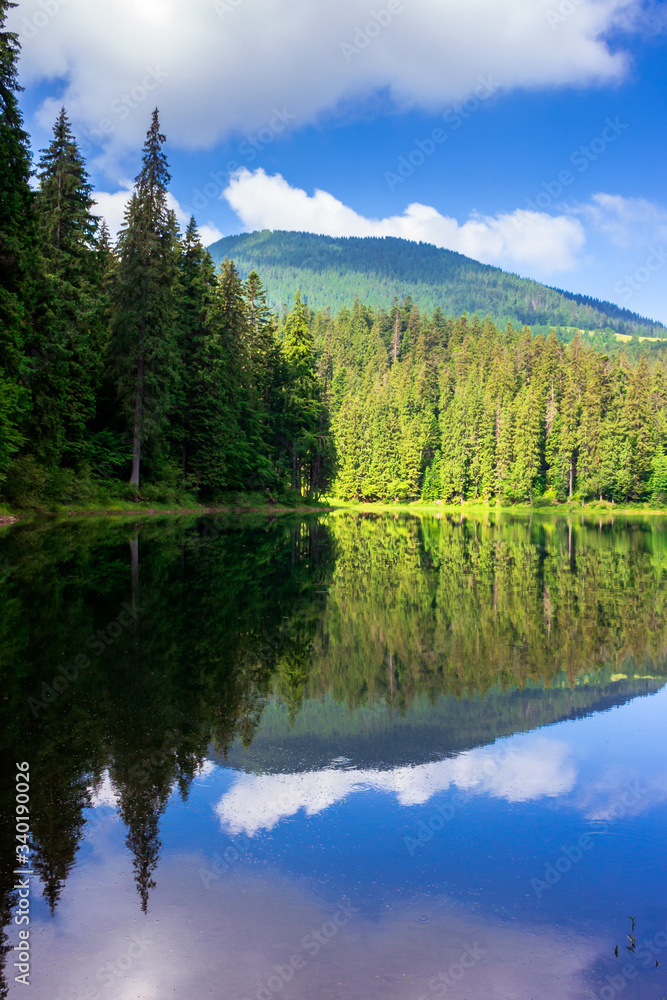 lake summer landscape. beautiful scenery among the forest in mountains