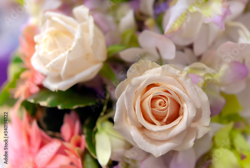 Bouquet of fresh roses  flower bright background.