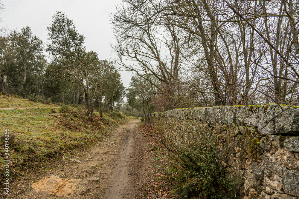 Country trail in the Sierra Guadarrama. Madrid Spain. Country trail in the Sierra Guadarrama. Madrid Spain.